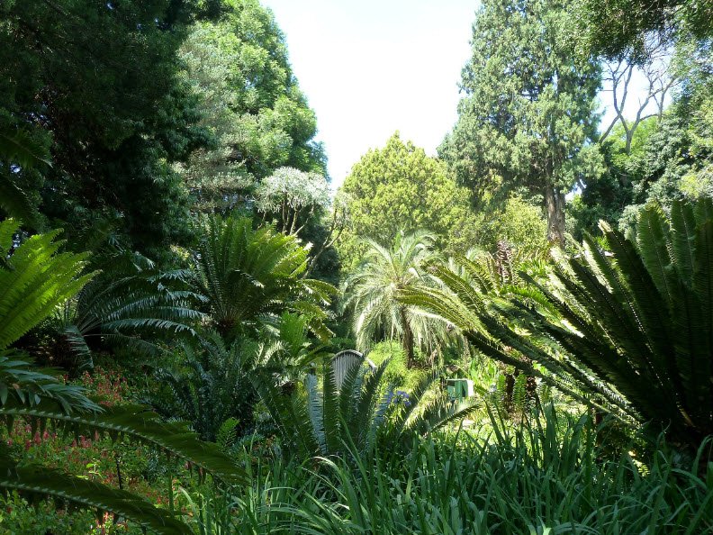 Manie Van Der Schijff Botanical Garden , , South Africa
